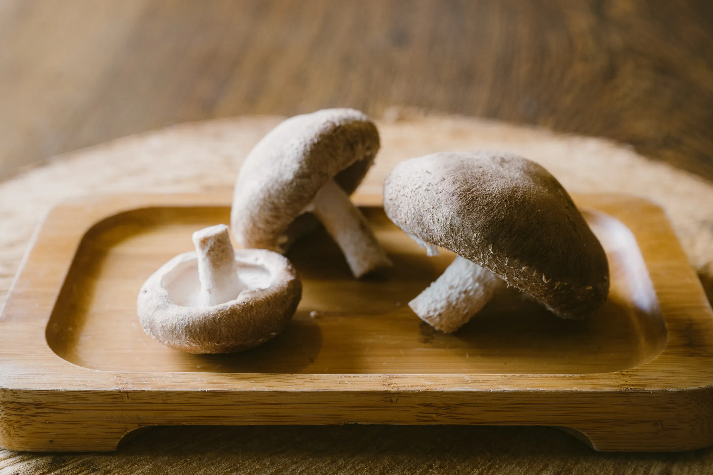 擺放在木盤上的新鮮南投埔里香菇特寫,蕈傘飽滿厚實且色澤自然,為台灣中部最知名的在地農特產