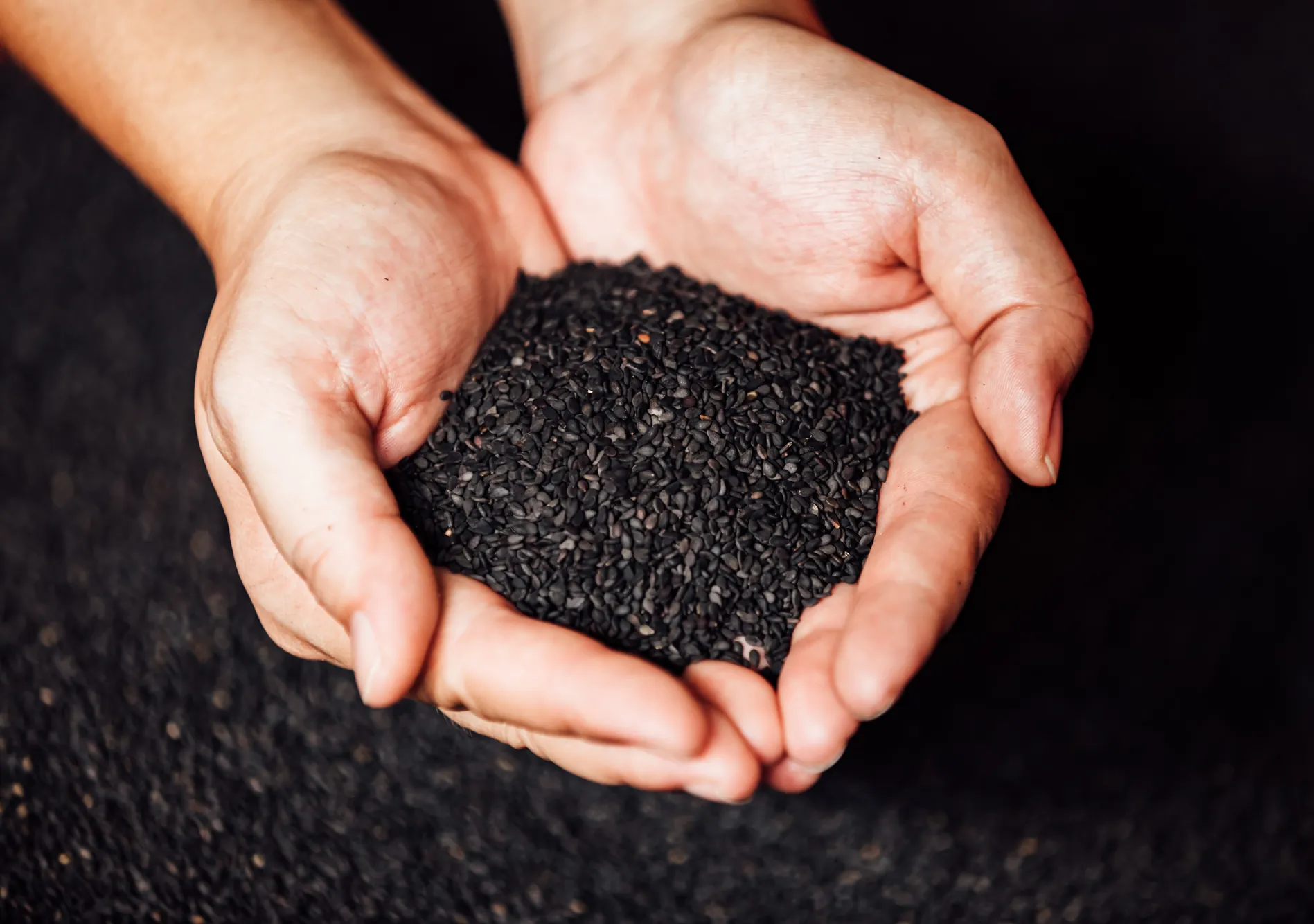 特寫鏡頭展示雙手捧著粒粒分明的黑芝麻原料，強調嚴選天然穀物與職人把關的製油初衷。