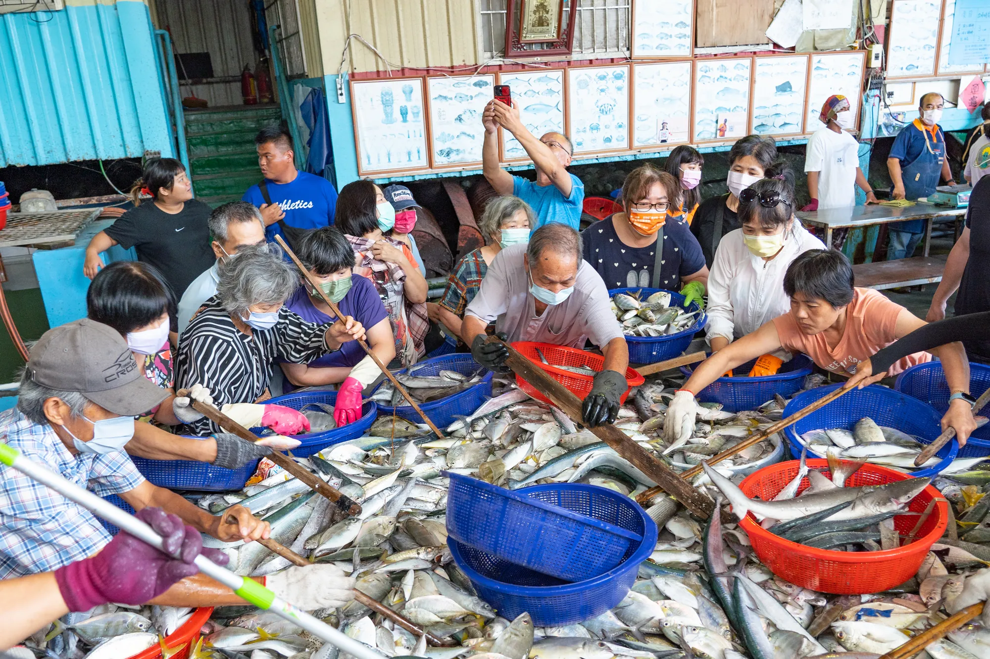 漁港市場內的熱鬧魚貨拍賣現場，大批民眾與盤商手持鉤子，圍繞著剛下船的新鮮現撈漁獲進行挑選與分級。