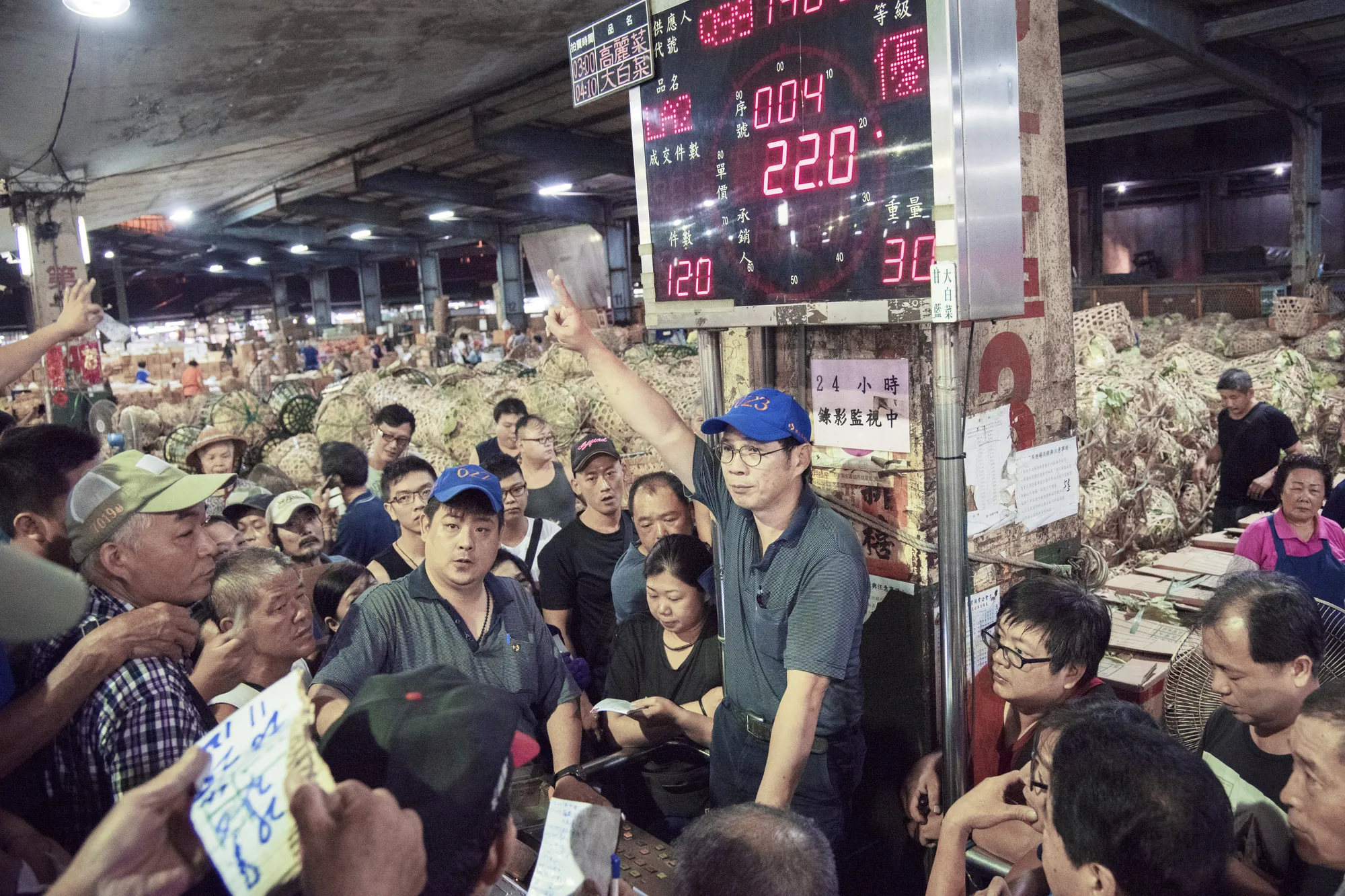 果菜市場內的專業拍賣員（糶手）正進行高麗菜競標，手勢俐落示意價格，周圍圍繞著專注投標的蔬果盤商與即時報價的電子看板。