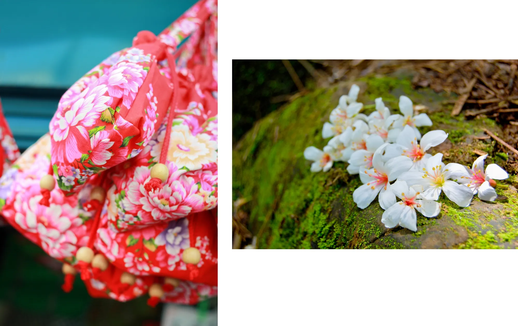 展現台灣客家文化特色的組合圖：左側為印有牡丹花樣的傳統紅色客家花布束口袋，右側為灑落於青苔上的潔白油桐花，象徵客庄的工藝與自然美景
