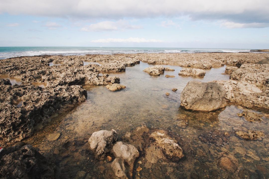 退潮時的岩石海岸線景觀，前景有數個潮池，遠處是藍色海洋和多雲的天空。