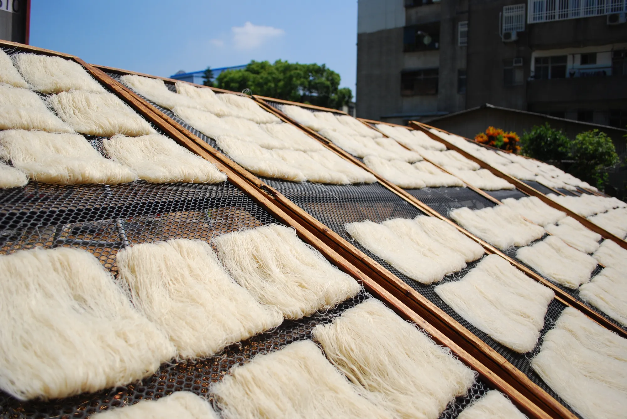 陽光下曝曬的傳統純米粉，整齊排列於透氣竹篩架上，利用自然風乾方式製作，展現古法食品工藝