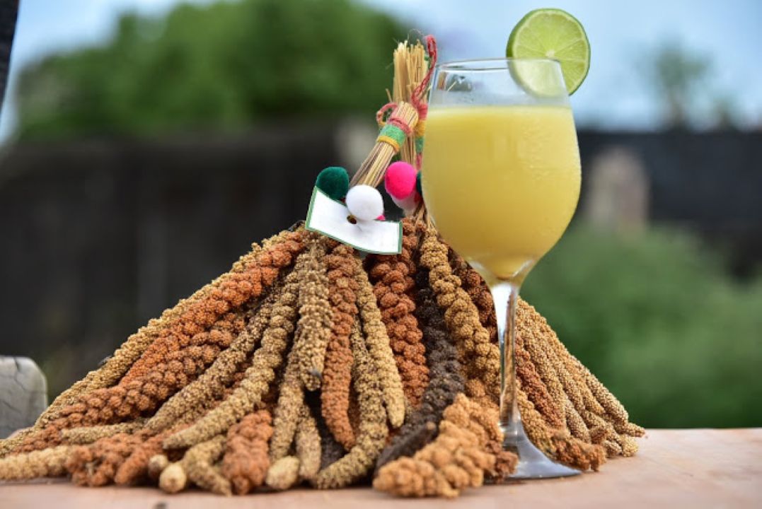 束曬乾的小米穀穗，天然有機農產品，傳統農業收成展示