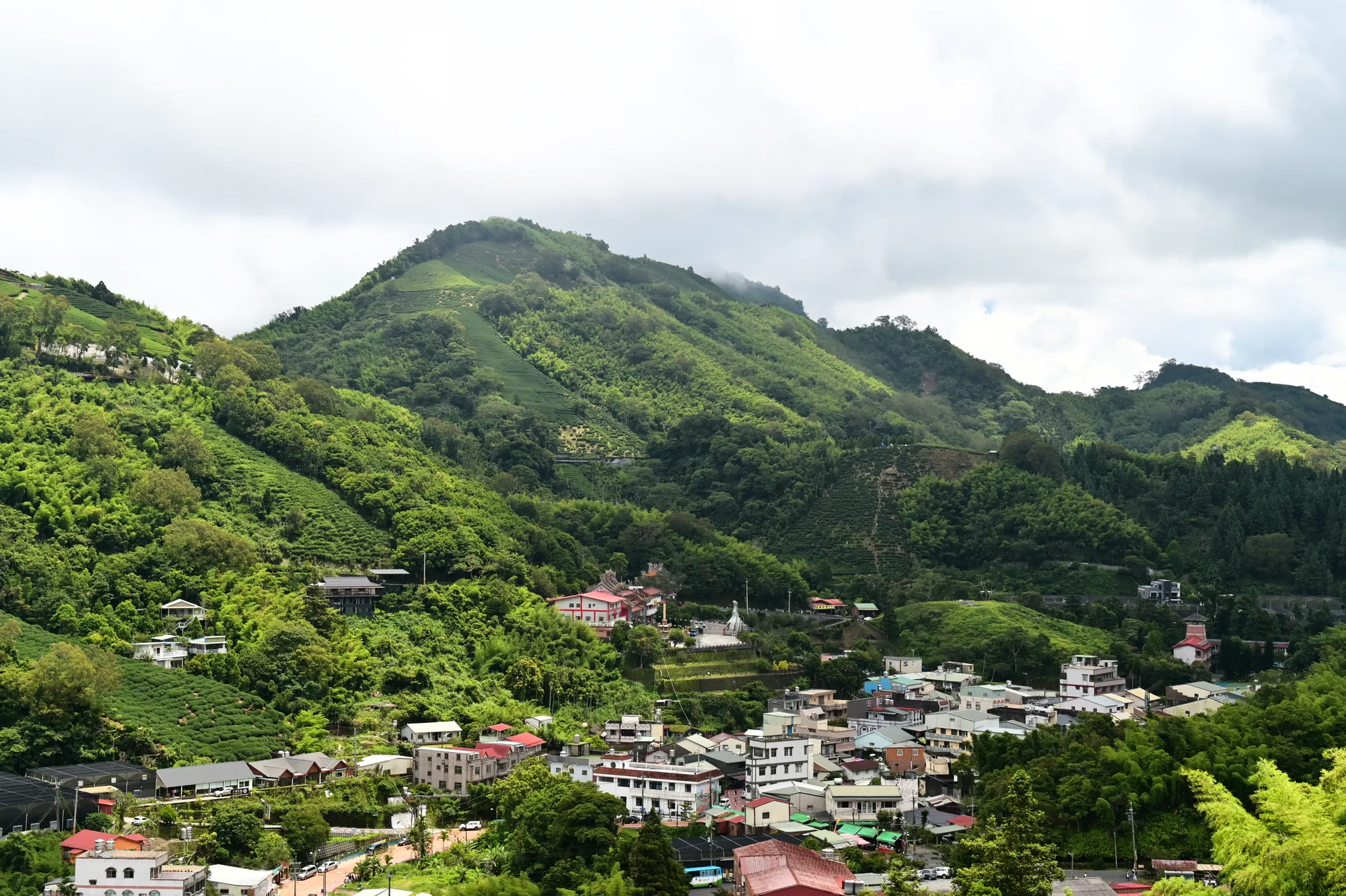 嘉義梅山山城景觀，綠意盎然的茶園梯田與聚落建築，遠方雲霧繚繞。