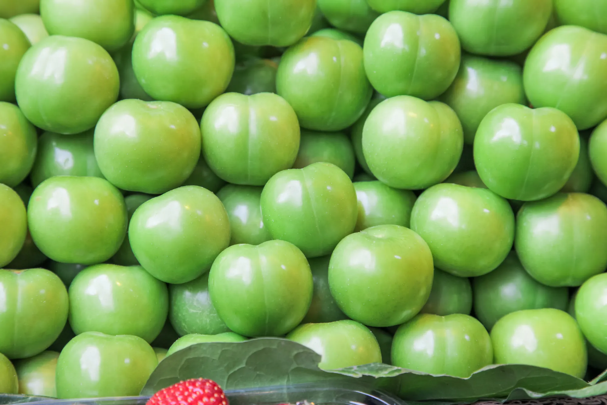嘉義梅山特產青梅，色澤翠綠飽滿的鮮果堆疊，適合製作脆梅與梅精