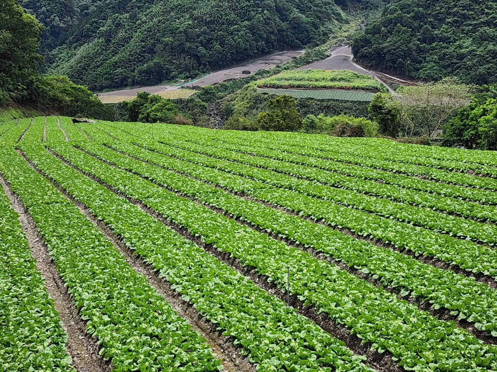 谷繞有機農場