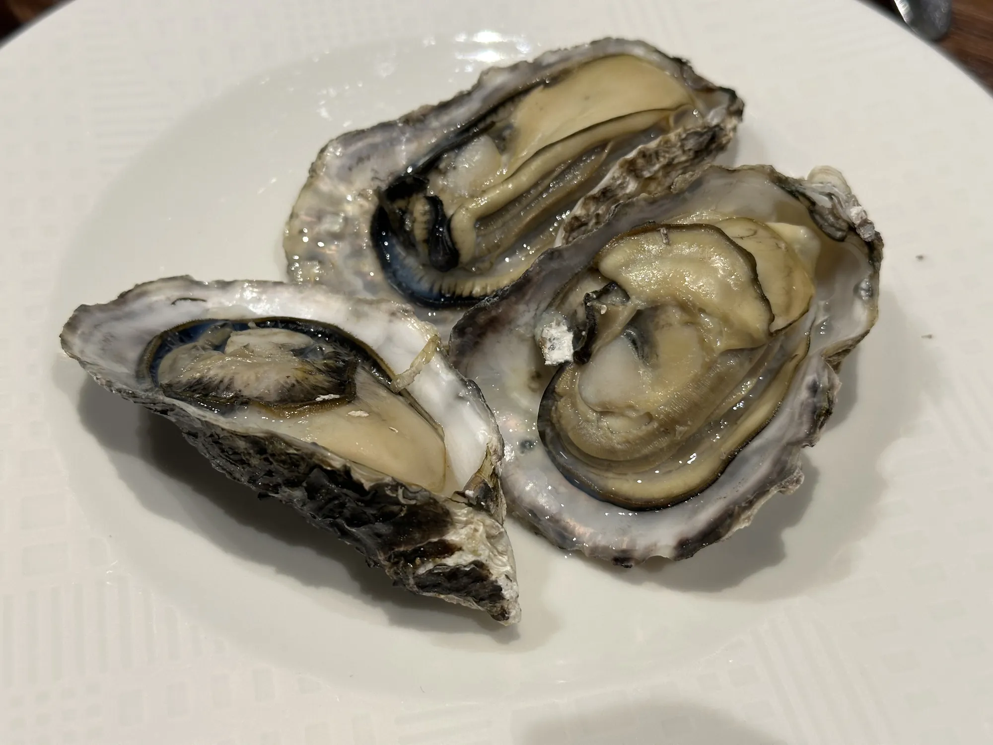三顆新鮮肥美的帶殼台灣牡蠣，去殼後擺放在白色圓盤上，肉質飽滿帶有光澤。